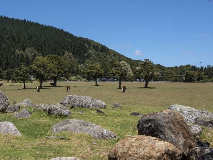 471 Crane Road Kauri_6