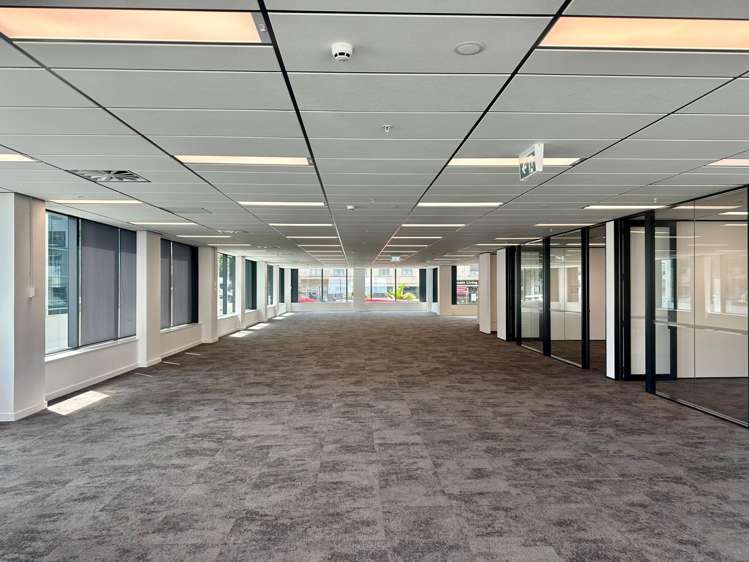 105 Carlton Gore Road Newmarket_1