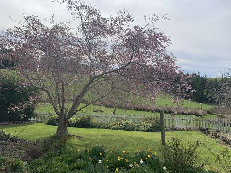 122 Old Port Road Catlins Surrounds_31