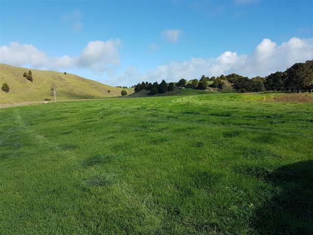 Okokako Road Waimate North_1