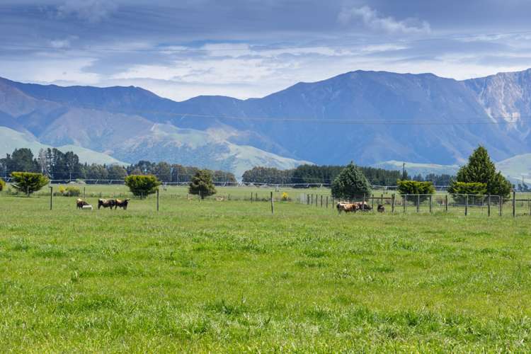 481 Moorhouse Road Mayfield_5