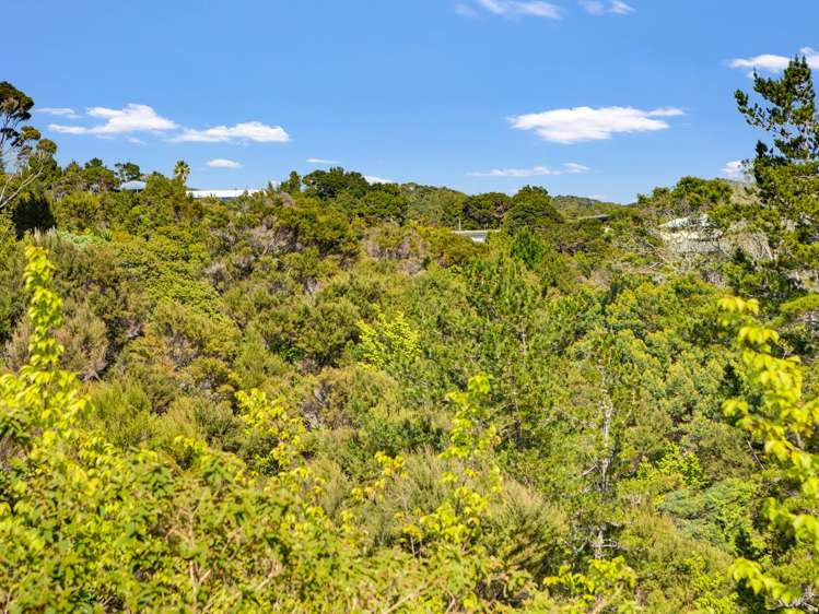 17 Tui Grove Paihia_21