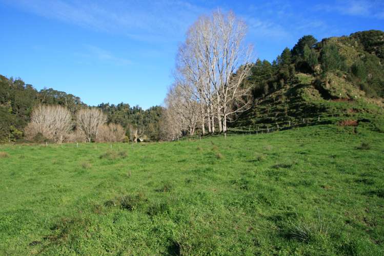 268 Piko Road Okoki_26