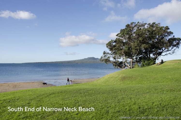 3/4 Fraser Road Narrow Neck_18