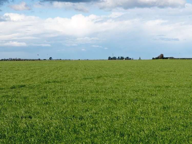 1152 Dromore Hatfield Road Chertsey_6