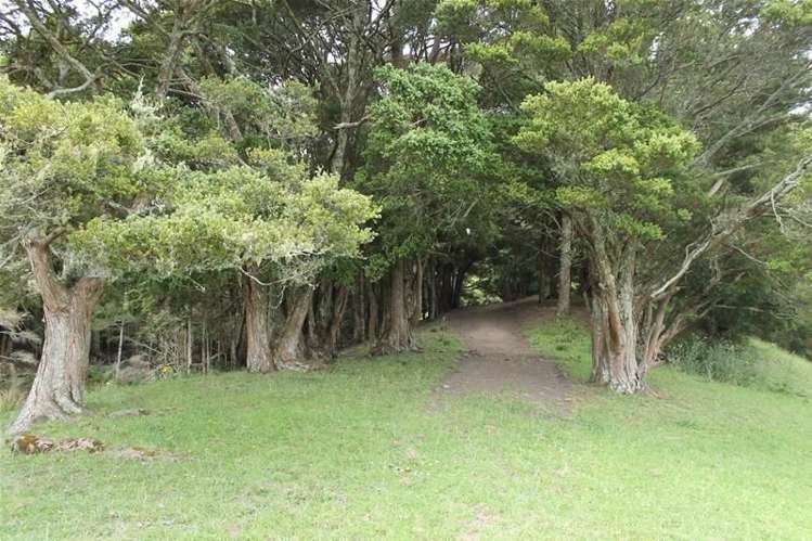 243c Mountain Road Maungaturoto_6