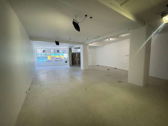 1,2/126 Wakefield Street Te Aro_1