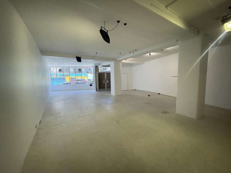 1,2/126 Wakefield Street Te Aro_1