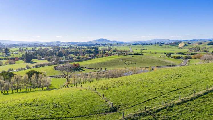 12 Homewood Road Waipawa_3