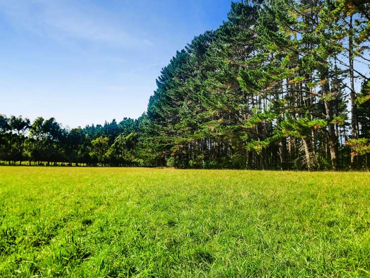 709 Ingahape Road Ohangai_27