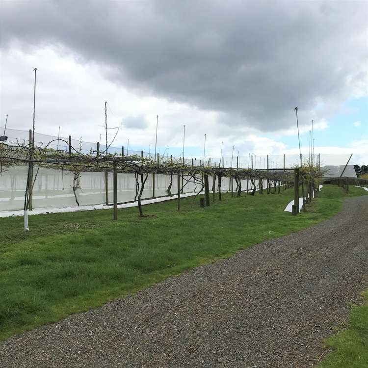 162 Waimea Drive Te Puke_10