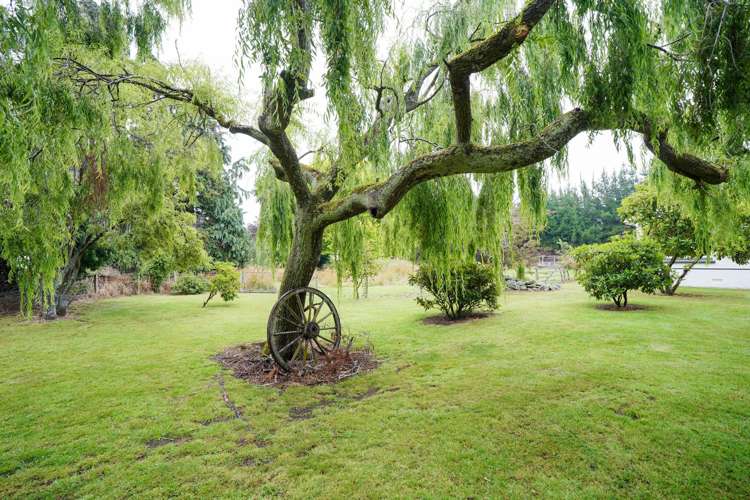 147 Thomsons Crossing Road West Thomsons Crossing_18