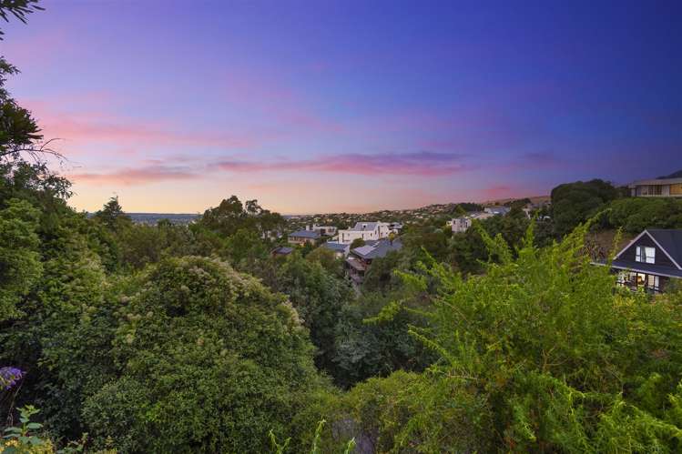 1/32 Takahe Drive Cashmere_26