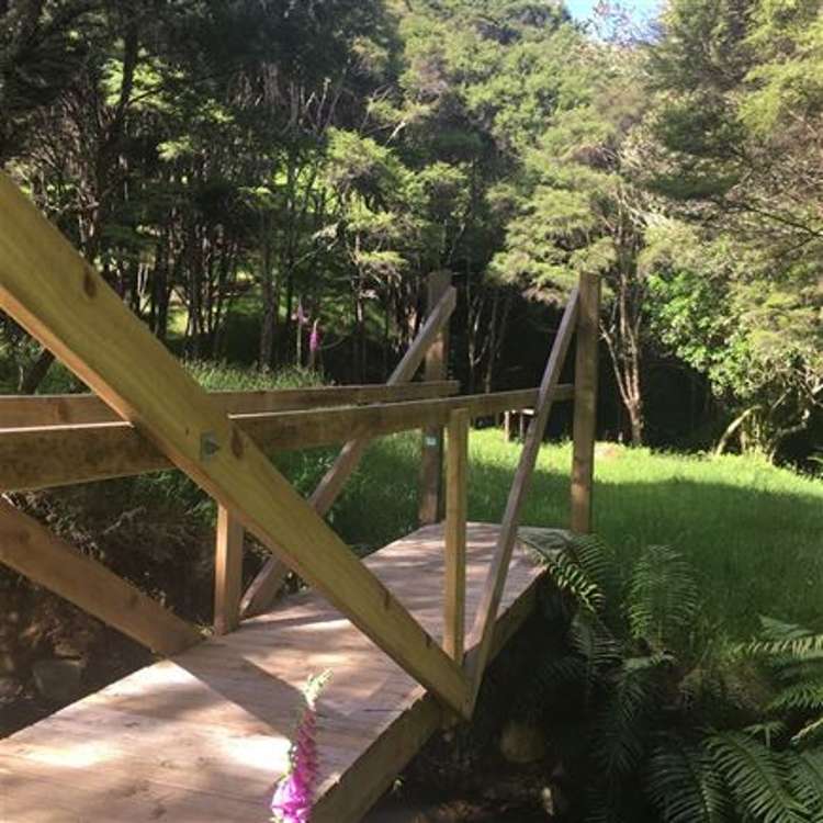 473 Kauaeranga Valley Road Thames_41