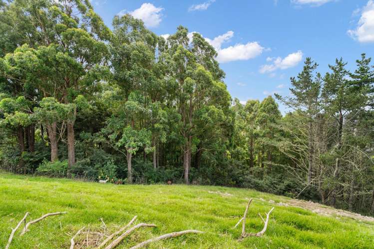 448 Apotu Road Kauri_29