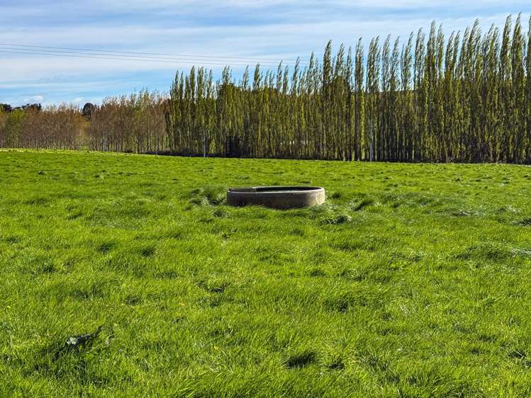 316 McDonald Road Pukerau_8