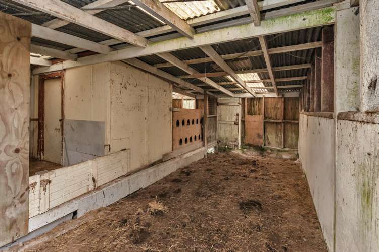 255 Pigs Head Road Whakapara_31