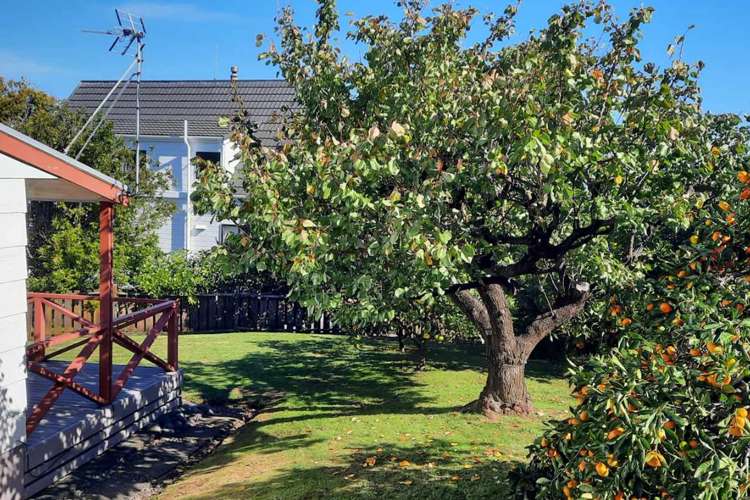 306 Marshall Crescent Thames_17