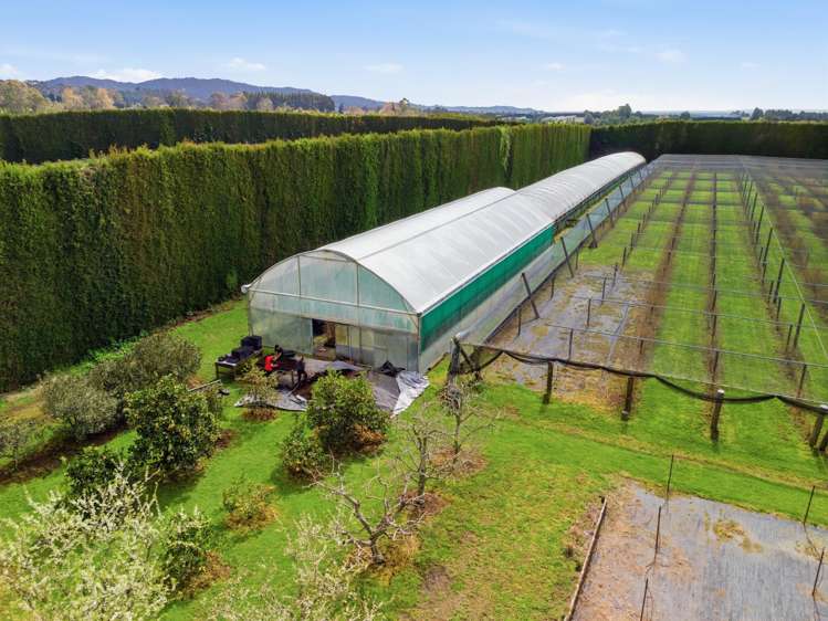 1040 Te Matai Road Te Puke_22