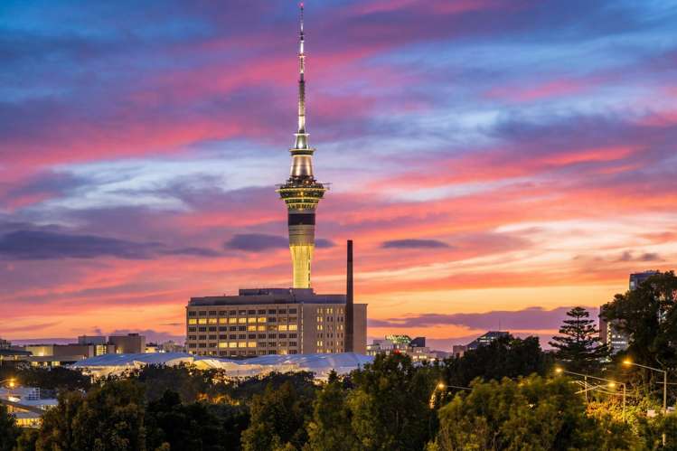 Lot 1/4 Patey Street Remuera_37