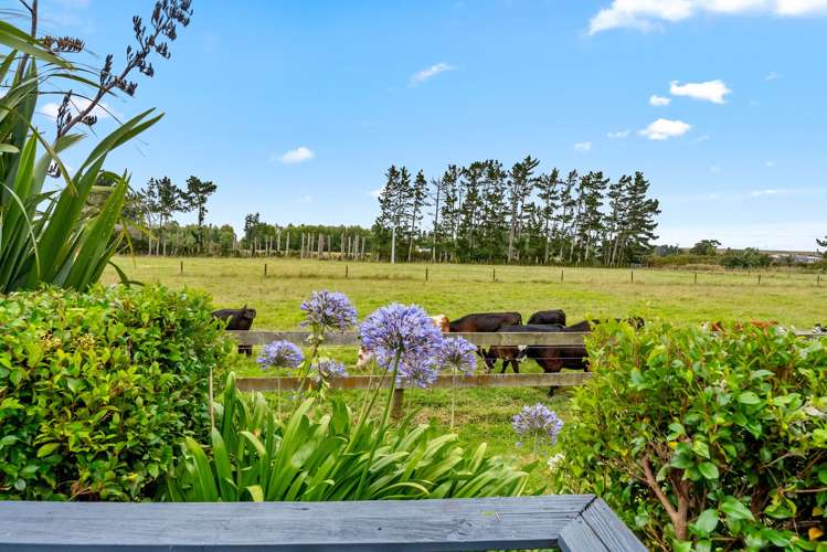 331 South Head Road, South Head Helensville_27