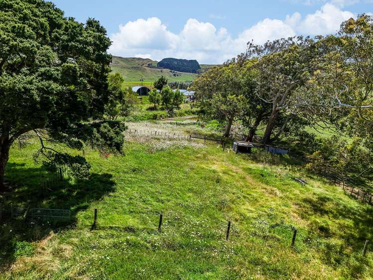 603 Te Akau South Road Te Akau_5