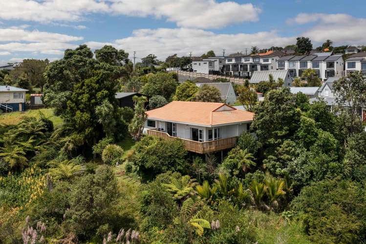 46C Fairlands Avenue Waterview_2