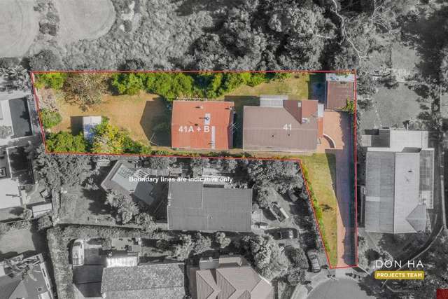 41 & 41A-B Budgen Street Waikowhai_1