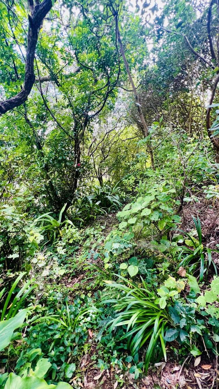 1695 Wyuna Bay Road Wyuna Bay_37