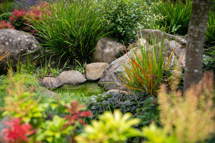 9 Naomi Place Cambridge_18