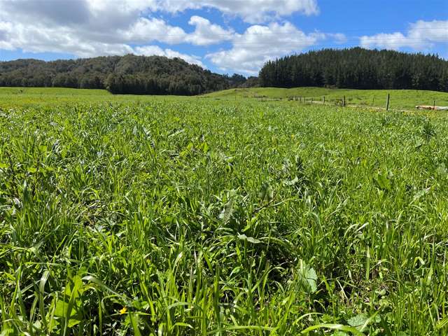 TRADITIONALLY 280 COWS AHAURA GREY VALLEY