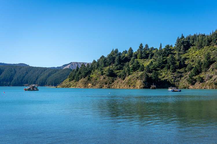 23 Te Tio Terrace Port Underwood_9