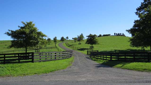 658 Te Kopia Road Waikite Valley_1