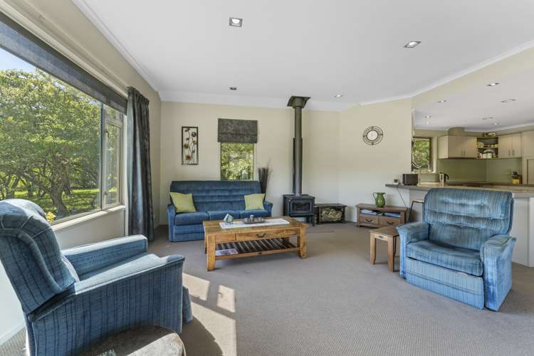 36 Hawley Road Alexandra_9