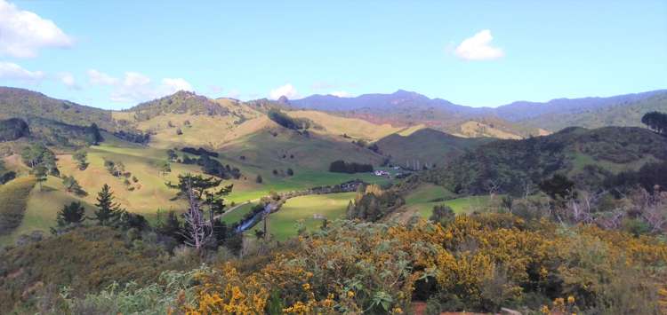 270 Kaimarama Road Kaimarama_6