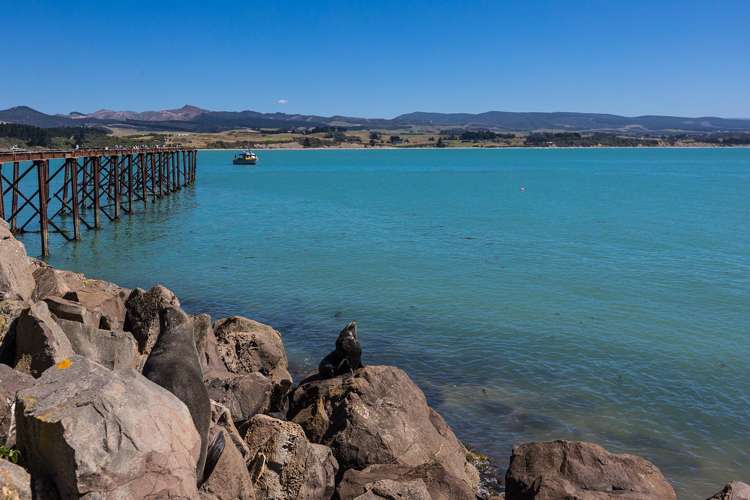 169 Haven Street Moeraki_5