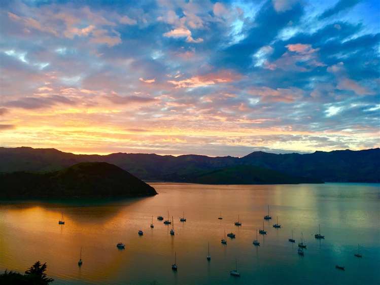 176 Wainui Main Road French Farm_24