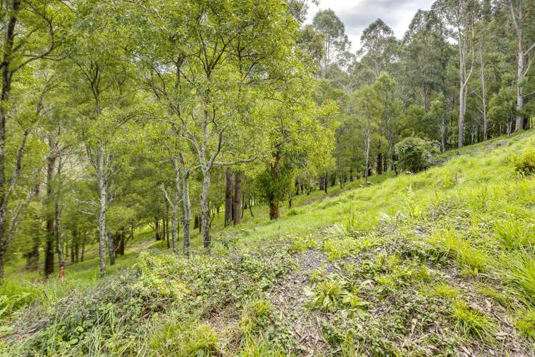 19 Ridgeway Terrace Taradale_7