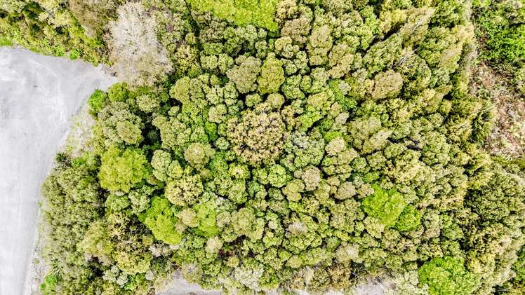 8 Harrison Place Kumara Junction_1