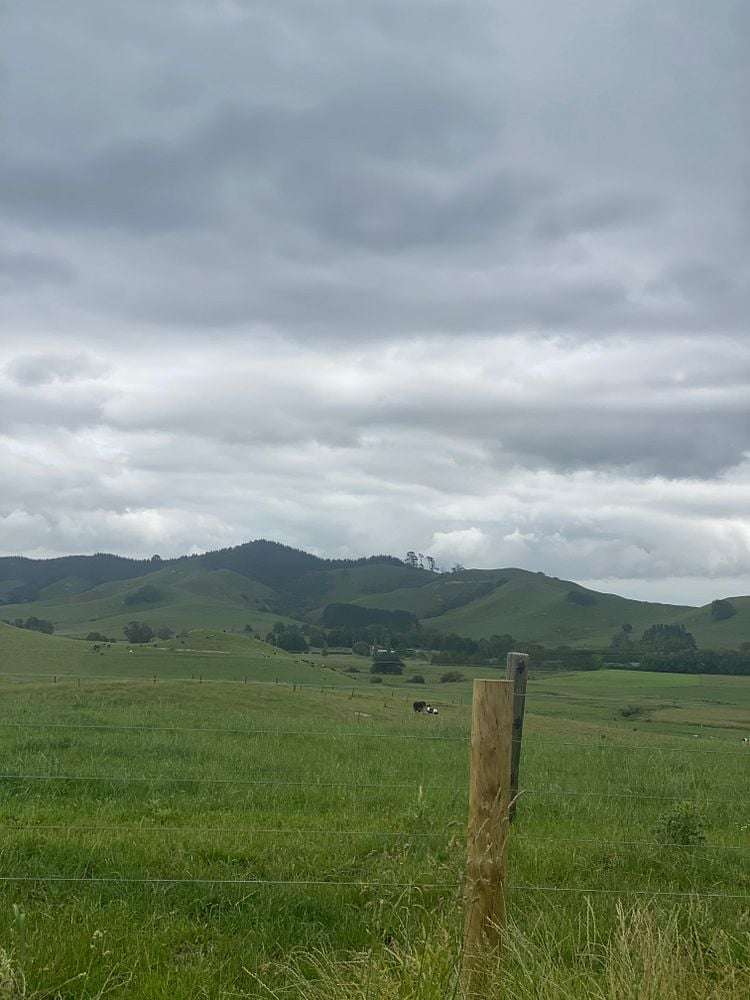 76 Waikarakia Road Maramarua_6