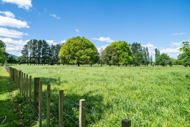 Ngarua Road Morrinsville_5