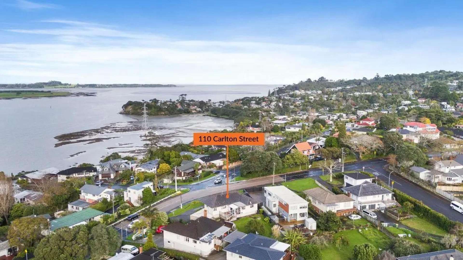 110 Carlton Street 1687_0