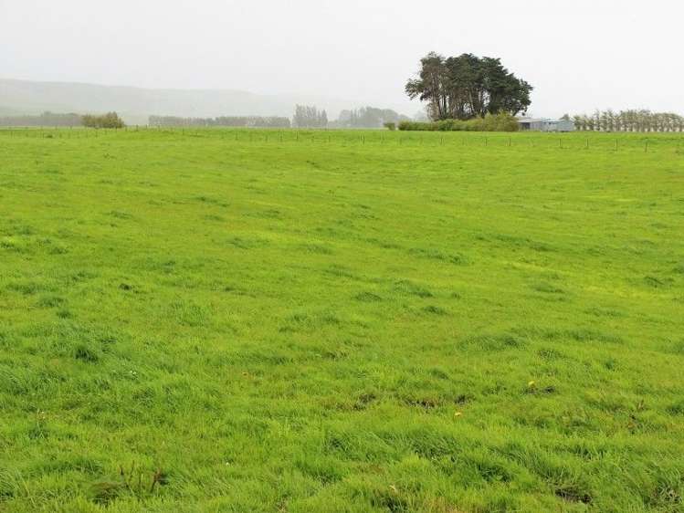 247 Mataura Island Road Wyndham Surrounds_17