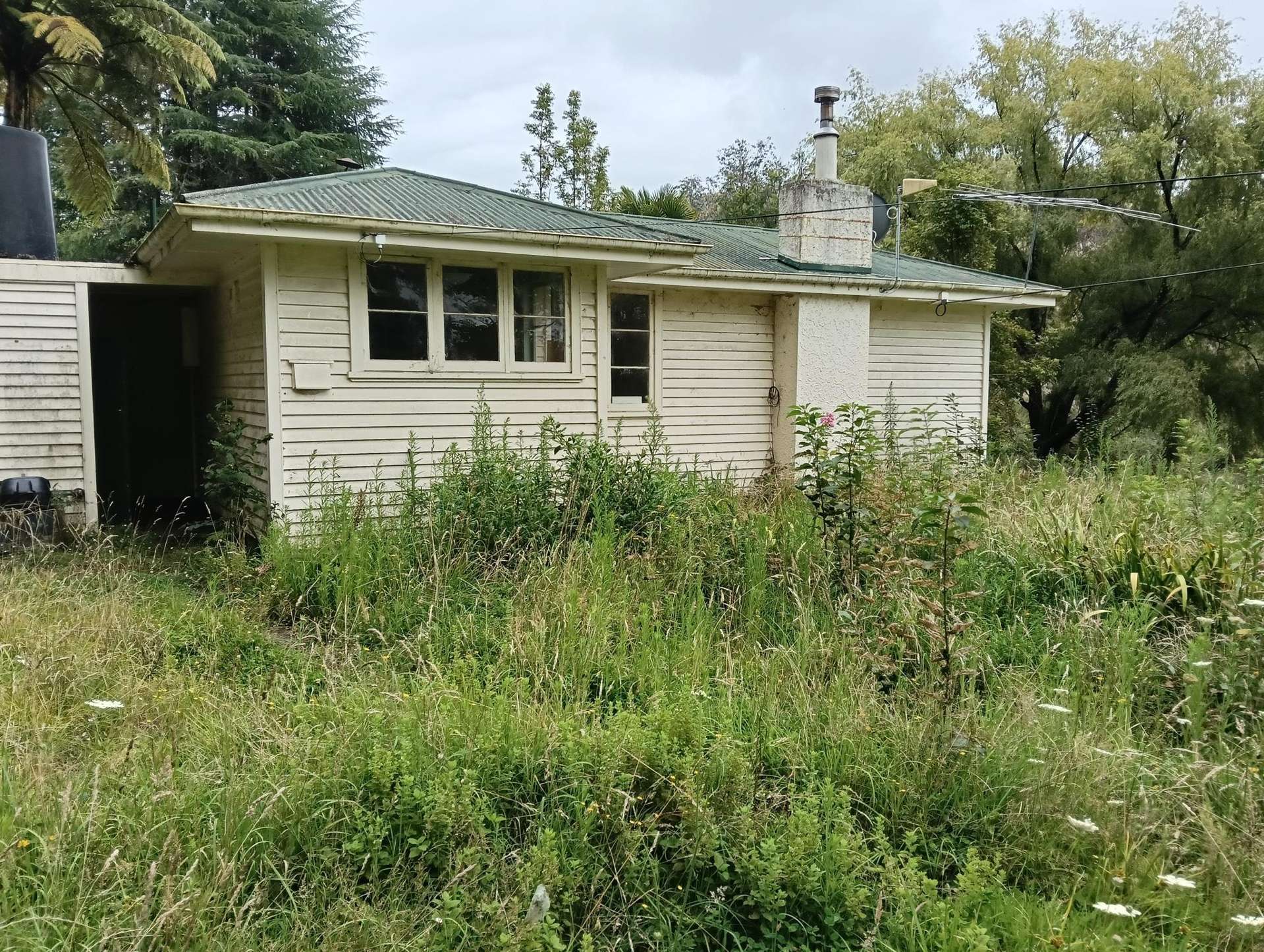 459 Kakariki Farm Road Kotemaori_0