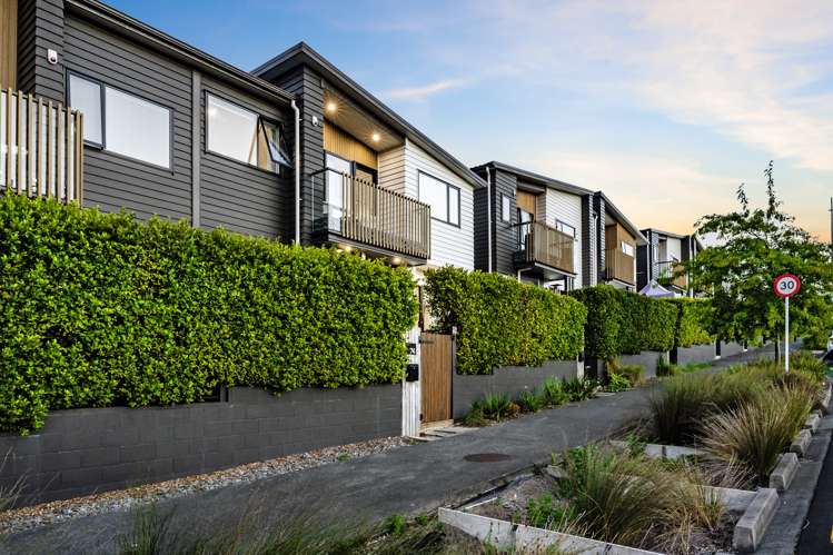 74 Ashley Avenue Long Bay_25