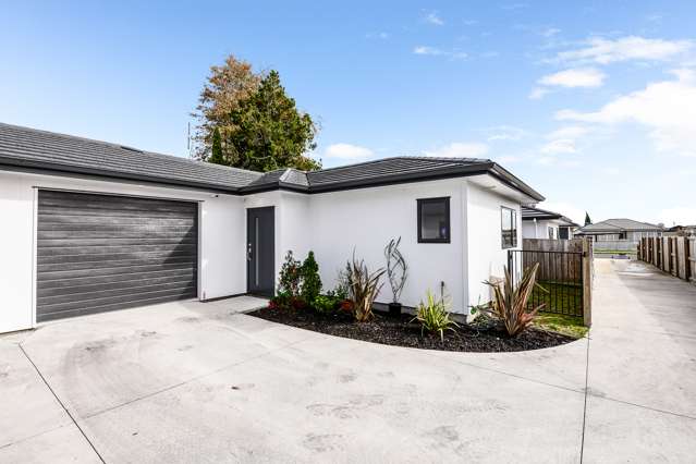 3/37 Karaka Street Nawton_3