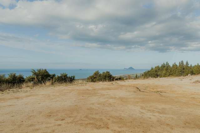 201 Kokako Heights Matata_4