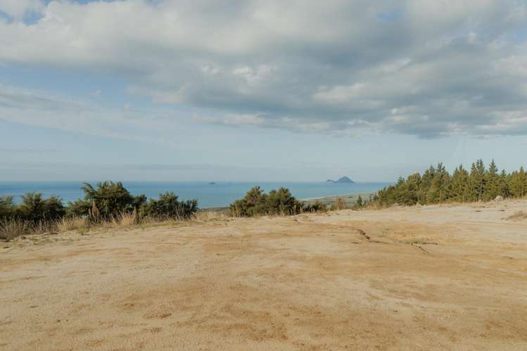 201 Kokako Heights Matata_4