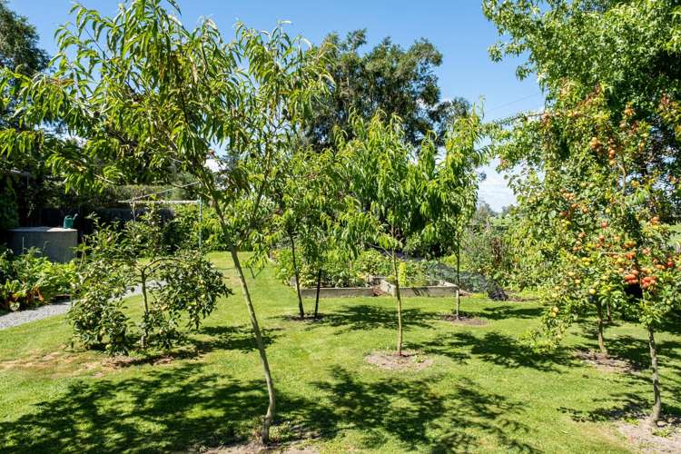 12 Tiplady Road Geraldine_18