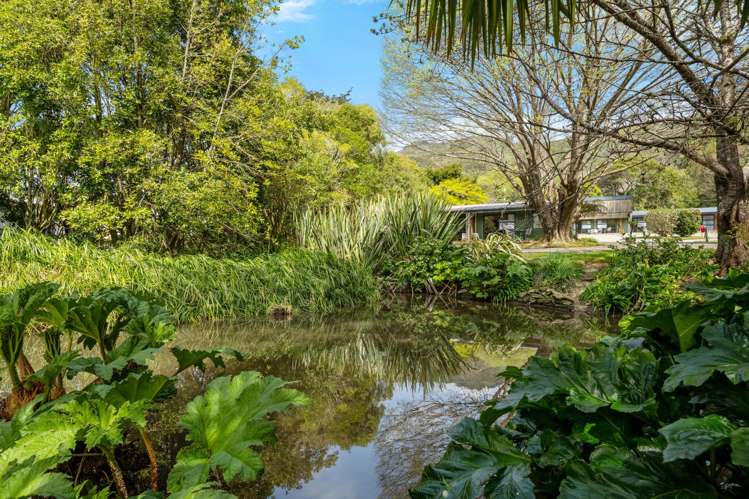 71 Main Road Havelock_22